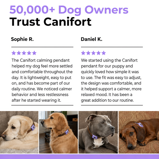 CANIFORT™ Pendant | FREE · ENDS SOON